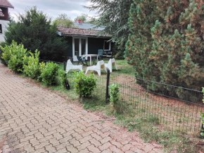 Hochwald chalet